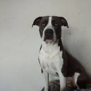 Meet your Posher, Galindo